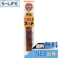 【送料無料】よっちゃん Bigカミカミスルメ 1枚x20袋