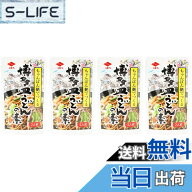 【送料無料】ニビシ醤油 博多皿うどんの素 2人前 40gx4個 ご当地グルメ 鶏ガラ 魚介 簡単調理