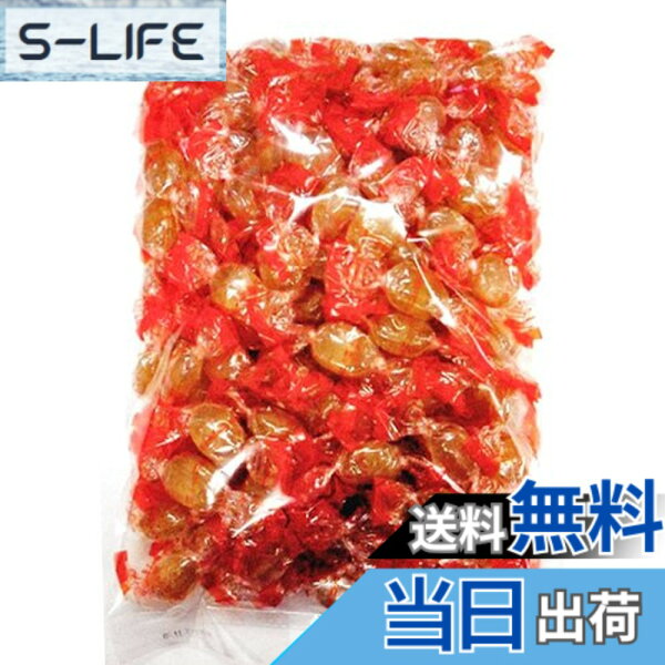 【送料無料】大一製菓 包にっき 1kg