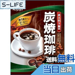 �y���������z�t���䐻�� �Y������ 66gx1��