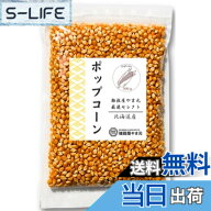 【送料無料】北海道産 ポップコーン 豆 500g 雑穀屋やま元【電子レンジ フライパン 簡単 業務用 遺伝子組…