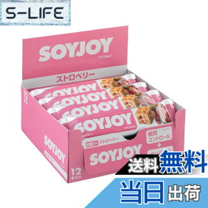 �y���������z�\�C�W���C ��ː��� �\�C�W���C �X�g���x���[ 30g x24��