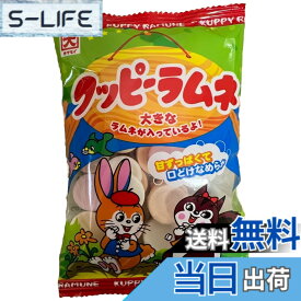 【送料無料】カクダイ製菓 クッピーラムネ 64gx20袋