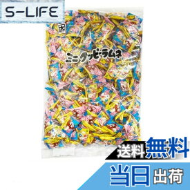 【送料無料】カクダイ製菓 ミニクッピーラムネ（個包装賞味期限印字あり） 1kgx1袋
