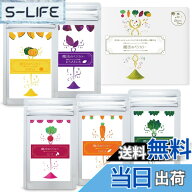 【送料無料】【国産原料100%】魔法のベジカラー 食紅 無添加 野菜パウダー (全5色) 離乳食 スムージー こ…