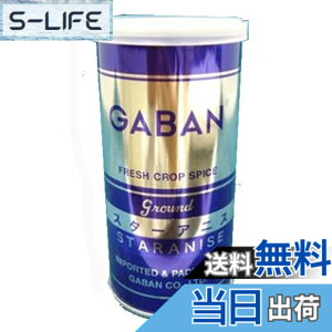 �y���������zGABAN(�M���o��) GABAN �X�^�[�A�j�X �p�E�_�[ 60gx2�{