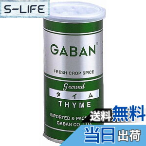�y���������zGABAN(�M���o��) GABAN �^�C�� �p�E�_�[ 60gx2�{