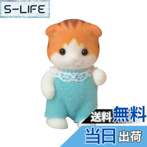 ���i�摜