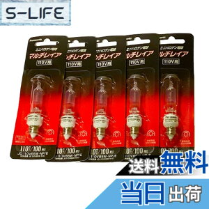 �y���������z�p�i�\�j�b�N(Panasonic) JD110V 85W�ENP/E 5����
