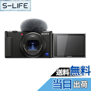 �y���������zkinokoo �t���ی�t�B���� SONY �f�W�^���J���� ZV1/ZVE10/ZV1 Mark II/ZV1-F�p �d�x9H �����ߗ� �ώw�� �C�A���� �����K���X ����0.25mm 2���Z�b�g(ZV-1/ZV-E10/ZV-1M2/ZV1 F��p)