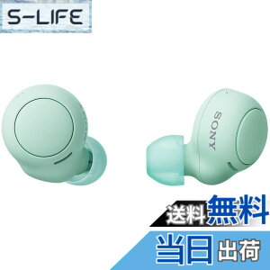 �y���������z�\�j�[(SONY) ���S���C�����X�C���z�� WF-C500 : /�y�ʏ��^5.4g/�����x�ʘb�i��/�ȒP�y�A�����O/IPX4�h�H���\/�A�C�X�O���[�� WF-C500 GZ