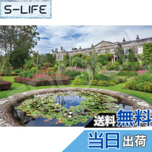�y���������z�G�|�b�N�� 1000�s�[�X �W�O�\�[�p�Y�� �C�O���i �p���̒뉀 �}�E���g�X�`�����[�g�̃t�H�[�}���K�[�f�� (50x75cm) 09-027s �̂�t�� �w���t�� �_�����t�� EPOCH