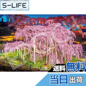 �y���������z�G�|�b�N�� 1000�s�[�X �W�O�\�[�p�Y�� ���{���i �O�t�̑��-���� (50x75cm) 09-058s �̂�t�� �w���t�� �_�����t�� EPOCH