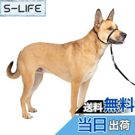 【送料無料】PetSafe（ペットセーフ） ジェントルリーダー 引っ張り防止 ヘッドカラー 犬用 散歩トレーニング【ブラック Mサイズ】