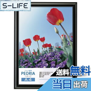 �y���������z�n�N�o HAKUBA �A���~�z�� �y�I���A A4�T�C�Y �u���b�N �|�X�^�[�t���[�� �t�H�g�t���[�� �O��PET�� �݂�R�t��FAPE-BKA4
