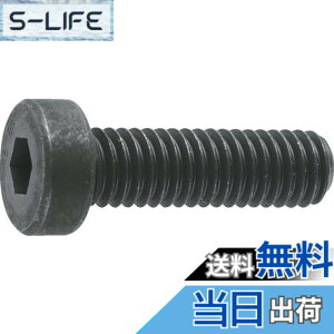 �y���������zTRUSCO(�g���X�R) �ᓪ�Z�p���t�{���g �����ߑS�l�W M4x12 21�{�� B081-0412