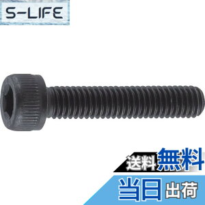 �y���������z�g���X�R���R(TRUSCO) �Z�p���t�{���g �����ߑS�l�W M5x20 61�{�� B30-0520