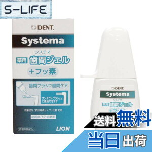 �y���������zLION ���C�I�����ȍ� DENT.EX �V�X�e�}��p���ԃW�F�� 20ml