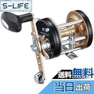 �y���������zAbuGarcia (�A�u�K���V�A) �A���o�T�_�[ (Ambassadeur) 6500C ���P�b�g�u���b�N �E���� �J�E���^�[�o�����X�n���h�� �J�S�ނ�ی`���[��