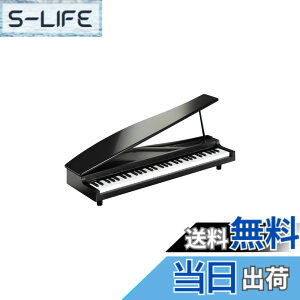�y���������zKORG MICROPIANO �}�C�N���s�A�m �~�j����61�� �u���b�N 61�Ȃ̃f���\���O���� �������t�\