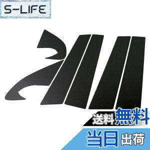 �y���������zBRIGHTZ �f���A���X J10 �����ʃu���b�N���b�L�s���[�p�l���J�o�[ 6PC �o�C�U�[�����p �y PIL-BLA-249 �z 5107