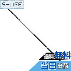 ダイワ 波路 硬調 60 (ロッド・釣竿) 価格比較 - 価格.com