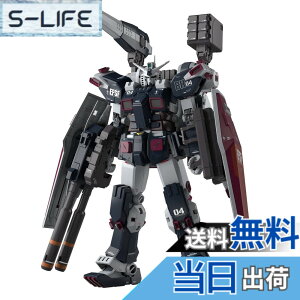 �y���������zMG �@����m�K���_�� �T���_�[�{���g �t���A�[�}�[�E�K���_�� Ver.Ka (GUNDAM THUNDERBOLT��) 1/100�X�P�[�� �F�����ς݃v�����f��