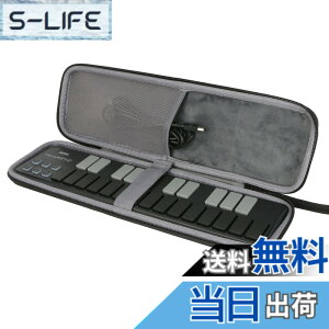 �y���������z�yco2CREA ��p���[�P�[�X�zKORG ��� USB MIDI�L�[�{�[�h nanoKEY2 25�� MIDI�R���g���[���[ nanoPAD2 16�p�b�h �ɑΉ��i�P�[�X�̂݁j