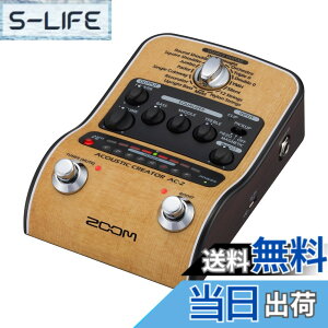 �y���������zZOOM �Y�[�� AC-2 �A�R�[�X�e�B�b�N�M�^�[�p�v���A���v �y�������K�i/3�N�����t�z �s�G�]/�}�O�l�Ή� 16��v���Z�b�g DI�@�\ XLR�o�� �d�r�쓮�Ή� �x�[�W�� AC�A�_�v�^�[�t�� AC�V��