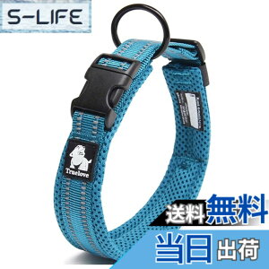 �y���������zcocomall���{�����X ����� ���̎�� �P���p ���^�A���^�A��^���p �y�b�g�p�i 3M���ˍޗ� �i�C������ �ʋC�� �e�͐� �\�t�g���b�V�� �ȒP���� ������� ���߉\ (XS, ���C�����u