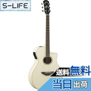 �y���������z���}�n YAMAHA �G���A�R�M�^�[ APX600 VW