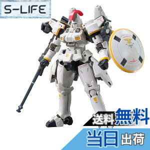�y���������zRG �V�@����L�K���_��W Endless Waltz �g�[���M�X EW 1/144�X�P�[�� �F�����ς݃v�����f��