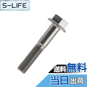 �y���������zDingtai �`�^���t�����W�{���gM10 x20 25 30 35 40 45 55 60 65 70 75 80 100mm 1.25mm �t�����W�˂� (M10x55mm) [���s�A���i]