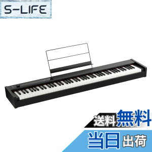 �y���������zKORG(�R���O) �d�q�s�A�m D1 88����/���S��/���{����RH3����/�_���p�[�y�_��/���ʗ��ĕt��/�����A�ŉ\ �u���b�N