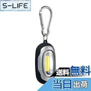 �y���������z�G���p LED�L�[���C�g ���FCOB �V���o�[ HI�ELOW�E�_�� �ؑ� DOP-788(SL)