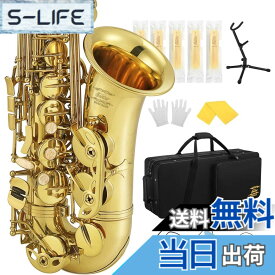 【送料無料】Eastar アルトサックス E Saxophone ゴールドラッカー サクソフォン ケース付き お手入れセット クリスマス(演奏用) AS-3