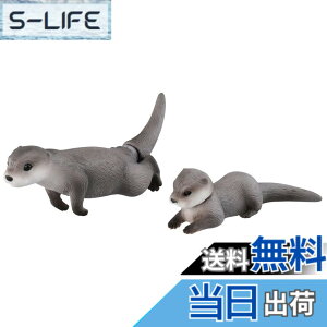 ���i�摜