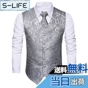 �y���������z[HISDERN] �V���o�[ ������ �����Y �t�H�[�}���x�X�g �r�W�l�X �X�[�c �x�X�g �X���� V�l�b�N �傫���T�C�Y �j�� �畞 L V3-01