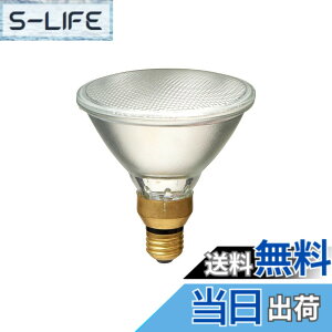 �y���������z�G���p(ELPA) �n���Q���r�[�������v�U��65W EBRF110V65W