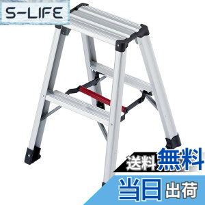 �y���������z���J��H��(Hasegawa) ��p�r�� �r�y 2�i RZ-06c (0.60m) (17754)