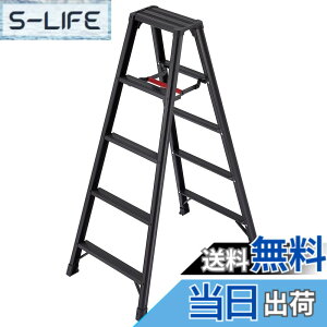 �y���������z���J��H��(Hasegawa) ��p�r�� �r�y BLACK 5�i RZB-15b (1.39m) (17763)