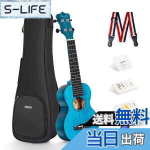 �y���������z�\�v���m�E�N�����E���S��6�_�Z�b�g�E�}�z�K�j�[�P�E�N����Enya EUS-25D BU �y�P�[�X�E�`���[�i�[�E�X�g�����O�E�s�b�N�E�X�g���b�v�t���z