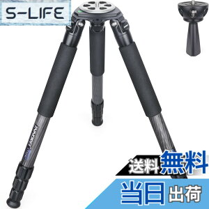 �y���������zINNOREL �J�[�{�� �J���� �O�r �v���� �ω׏d30KG �l�i�L�k ��ƍ���8-146CM �p�C�v�a 32/29/26/22MM �i�b�g���b�N�� �r�f�I �f�W�^���J���� �]�������Y ��჌�t �f�W�J�� DSLR �~���[���X