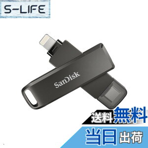 �y���������zSanDisk TYPE-C SDIX70N-256G-GN6NE Lightnig Flash