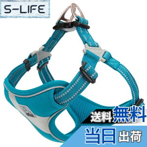 �y���������zcocomall ���S�y�����p�n�[�l�X ���p���� �h�b�O �y�b�g�p�i ���o�����n�[�l�X 3M���ˍޗ� �P�� �i�C������ ���^���A���^���A��^���Ɍ��� �ʋC�� ���߉\ ������� (M, ���C�g�u
