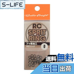 �y���������z���f�I�N���t�g(Rodiocraft) RC �X�v���b�g�����O #0