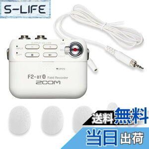 �y���������zZOOM �Y�[�� �����^ �t�B�[���h���R�[�_�[ F2-BT/W 32bit�t���[�g�^���Ή� Bluetooth �����[�g����@�\ ���x���A�}�C�N�t�� �ߕ���@�ނɑ����\ 14���ԋ쓮 �u���C�_�� �C���^�r���[ 