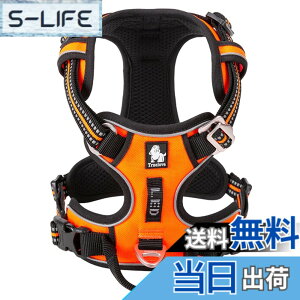 �y���������zcocomall 2020�V�^ ���p�n�[�l�X ���p���� �h�b�O �y�b�g�p�i �n�[�l�X 3M���ˍޗ� �P�� �i�C������ ���^���A���^���A��^���Ɍ��� �ʋC�� ���߉\ (XL, �I�����W)