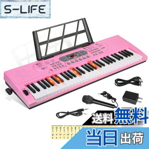 �y���������zHricane �L�[�{�[�h �s�A�m �d�q�s�A�m 61���� 200��މ��F 200��ރ��Y�� 60�ȃf���� LCD�f�B�X�v���C���� ���錮�� �y�� ���{��p�l�� �w�b�h�t�H���Ή� �q�� ���S�� ���K�p USB�P�[