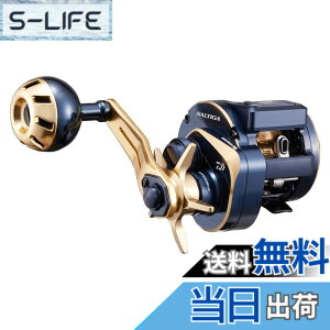 �y���������z�_�C��(DAIWA) 21 �\���e�B�KIC 100
